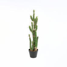 Load image into Gallery viewer, 34&quot;H Artificial Potted Cactus
