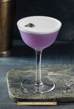 Load image into Gallery viewer, Vodka Cocktail Cards A–Z by Adams Media: Flashcards; 80 pages / English
